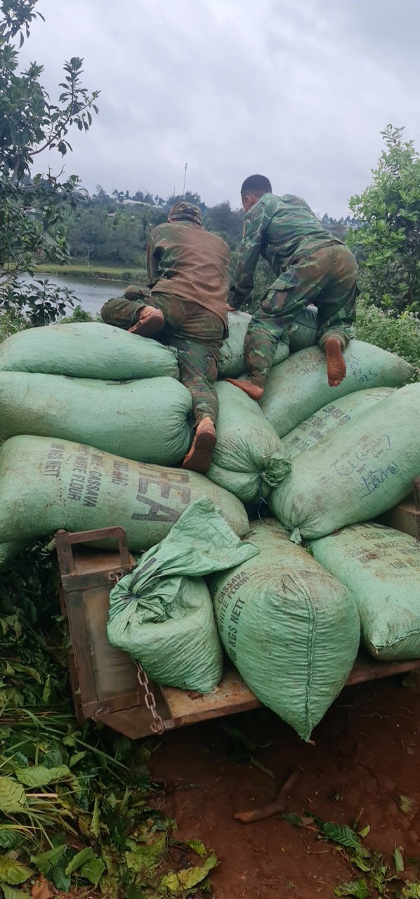 Hình ảnh vận chuyển về nhà máy chế biến